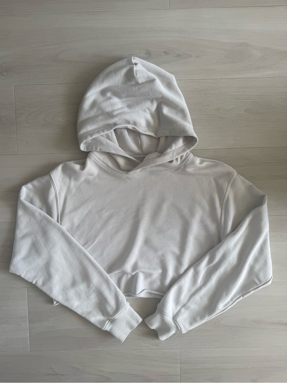 Aritzia TNA Cropped Lightweight Hoodie